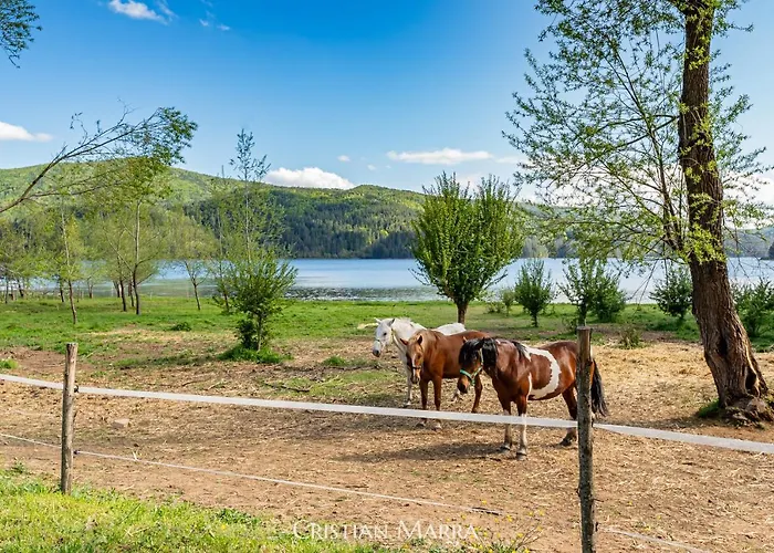 Casa R&g Apartamento