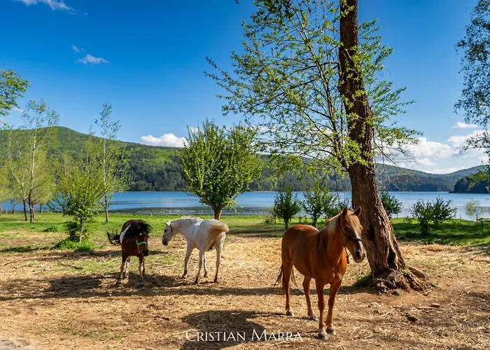 Apartamento Casa R&g Lorica